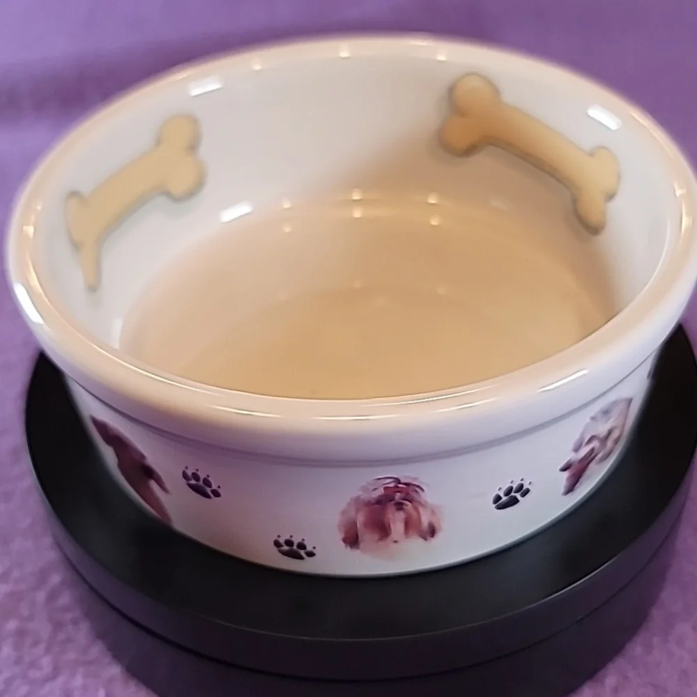 0774. BowWowMeow's Ceramic Decorative Bowl for Small Pet Dogs ~ So classy & Cute